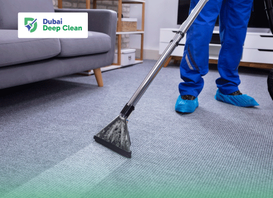 A professional cleaner in a blue uniform and shoe covers using a steam vacuum extractor machine to deep clean a grey carpet in a living room near a sofa.