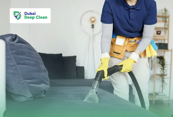 A professional cleaner in a blue polo shirt and utility belt using a water extraction vacuum tool to deep clean a dark grey velvet sofa in a modern living room.